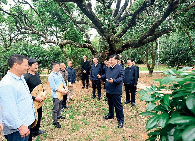 2023年4月10日至13日，中共中央總書記、國家主席、中央軍委主席習(xí)近平在廣東考察。這是11日下午，習(xí)近平在茂名高州市根子鎮(zhèn)柏橋村荔枝種植園，同現(xiàn)場技術(shù)人員親切交流。